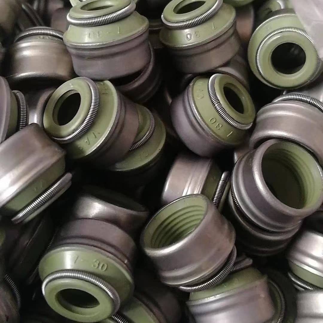 Truck Engine Intake And Exhaust Valve Stem Seal 1328563 1819065 1920860 For Scania 4-Series